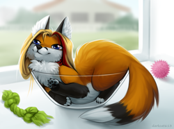 Size: 1280x953 | Tagged: safe, artist:darkcat613, canine, fox, mammal, red fox, feral, 2022, 2d, back fluff, blue eyes, bowl, cheek fluff, chest fluff, chin fluff, claws, complete nudity, container, countershading, detailed background, ear fluff, female, feral with hair, fluff, fur, hair, if i fits i sits, indoors, leg fluff, multicolored body, multicolored fur, nudity, paw pads, paws, pointy ears, solo, solo female, tail, tail fluff, underpaw, vixen, white belly, white body, white countershading, white fur, white inner ear, white tail tip, window