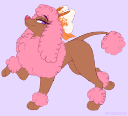 Size: 1097x996 | Tagged: safe, artist:prettypinkpony, canine, dog, mammal, poodle, feral, 2d, bow, brown body, brown fur, female, freckles, fur, hair, hair bow, looking at you, pink hair, purple background, purple eyes, side view, simple background, smiling, smiling at you, solo, solo female