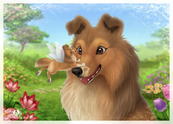 Size: 1100x790 | Tagged: safe, artist:dolphiana, canine, dog, mammal, feral, 2d, black nose, brown body, brown eyes, brown fur, butt fluff, cheek fluff, chest fluff, colored tongue, cute, duo, duo female, ear fluff, fairy wings, female, females only, flower, fluff, fur, gray paw pads, multicolored fur, neck fluff, open mouth, open smile, paw pads, paws, plant, red tongue, sheepdog, shetland sheepdog, size difference, smiling, tail, tail fluff, tongue, tongue o