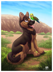Size: 662x900 | Tagged: safe, artist:dolphiana, bird, budgerigar, canine, dog, german shepherd, mammal, parrot, feral, 2d, ambiguous gender, australia, belly fluff, brown eyes, brown fur, butt fluff, cheek fluff, claws, cute, duo, duo ambiguous, ear fluff, feathers, fluff, fur, green feathers, multicolored fur, neck fluff, open mouth, open smile, pink tongue, rock, sitting, smiling, tail, tail fluff, tongue, two toned body, two toned fur