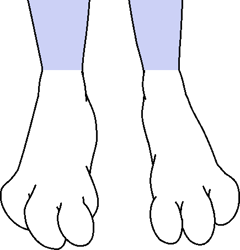 Size: 435x453 | Tagged: safe, artist:mega-poneo, everest (paw patrol), canine, dog, husky, mammal, anthro, plantigrade anthro, nickelodeon, paw patrol, barefoot, feet, female, fetish, foot fetish, foot focus, simple background, solo, solo female, toes, transparent background