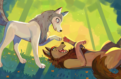 Size: 1577x1032 | Tagged: safe, artist:cherivinca, artist:xishka, mebh mactire (wolfwalkers), robyn goodfellowe (wolfwalkers), canine, mammal, wolf, feral, cartoon saloon, wolfwalkers, 2d, blue eyes, blue yes, blushing, brown body, brown fur, cute, duo, duo female, female, females only, forest, fur, gray body, gray fur, green eyes, happy, lying down, on back, open mouth, paw pads, paws, playing, smiling