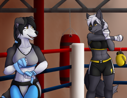 Size: 1170x900 | Tagged: safe, artist:abananaman, artist:pkuai, collaboration, oc, oc only, border collie, canine, dog, mammal, anthro, 2018, belly button, bottomwear, boxing gloves, boxing ring, breasts, clothes, digital art, duo, duo female, ears, eyelashes, female, females only, fur, gloves, hair, hairband, looking at each other, open mouth, sharp teeth, shorts, sports bra, sports shorts, tail, tape, teeth, thighs, tongue, topwear, wide hips