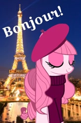 Size: 612x932 | Tagged: safe, artist:muhammad yunus, oc, oc:annisa trihapsari, earth pony, equine, fictional species, mammal, pony, feral, friendship is magic, hasbro, my little pony, female, france, french text, mare, paris, solo, solo female