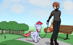 Size: 1920x1200 | Tagged: safe, artist:skydreams, oc, oc:cade quantum, oc:cinnamon lightning, border collie, canine, dog, equine, fictional species, mammal, pony, red panda, unicorn, anthro, feral, friendship is magic, hasbro, my little pony, 8:5, :3, collar, commission, eyes closed, female, glasses, horn, leash, male, mare, park, park bench, pet, plant, smiling, tail, tree