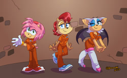 Size: 1280x787 | Tagged: source needed, useless source url, safe, artist:rooooox, amy rose (sonic), princess sally acorn (sonic), rouge the bat (sonic), bat, chipmunk, hedgehog, mammal, rodent, archie sonic the hedgehog, sega, sonic the hedgehog (series), clothes, jail, prison, prison outfit