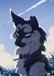 Size: 2167x3049 | Tagged: safe, artist:miffionfantaxiz, oc, oc only, canine, dog, mammal, feral, aircraft, airplane, collar, field, looking at you, male, sitting, sky, solo, solo male, vehicle