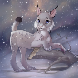 Size: 900x900 | Tagged: safe, artist:yulliandress, oc, oc only, big cat, feline, mammal, snow leopard, feral, 2d, ambiguous gender, branch, cheek fluff, claws, cloud, detailed background, ears, featured image, female, fluff, fur, looking at you, paw pads, paws, pink nose, sky, smiling, snow, snow storm, snowfall, solo, solo ambiguous, solo female, spotted body, spotted fur, tail, underpaw