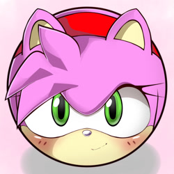 Size: 1200x1200 | Tagged: safe, artist:茎崎🔞ⓖリクエスト募集中, amy rose (sonic), ambiguous form, sega, sonic the hedgehog (series), 2022, ball, clothes, ears, female, headband, headwear, morph ball, solo, solo female