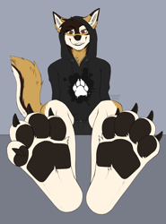 Size: 948x1280 | Tagged: safe, artist:kazuk9, oc, oc only, oc:danny dumal, canine, mammal, wolf, anthro, 2022, bottomwear, brown body, brown fur, brown hair, clothes, eye through hair, fetish, foot fetish, foot focus, fur, furgonomics, hair, hoodie, looking at you, male, multicolored fur, paw focus, paw pads, paws, pendant, shorts, sitting, smiling, solo, solo male, topwear, underpaw, white body, white fur, yellow body, yellow fur