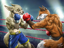 Size: 1024x778 | Tagged: suggestive, artist:kicv, canine, fennec fox, fox, mammal, anthro, audience, boxing, boxing gloves, boxing ring, boxing shorts, clothes, fighting, gloves, punching