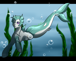 Size: 5000x4000 | Tagged: safe, artist:o-demonkill-o, oc, oc only, equine, fictional species, fish, hippocampus, hybrid, mammal, merpony, pony, seapony, siren (mlp), feral, friendship is magic, hasbro, my little pony, 2021, absurd resolution, bubble, commission, fins, fish tail, flowing tail, looking at you, mermaid tail, ocean, purple eyes, seaweed, solo, swimming, tail, underwater, water, ych result