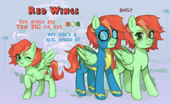 Size: 7000x4268 | Tagged: safe, artist:oops pio, oc, oc only, oc:red wings, equine, fictional species, mammal, pegasus, pony, feral, friendship is magic, hasbro, my little pony, 2022, absurd resolution, clothes, feathered wings, feathers, female, filly, foal, folded wings, green body, green eyes, green wings, hair, mane, mare, red hair, red mane, reference, reference sheet, smiling, spread wings, standing, uniform, wings, wonderbolts uniform, young