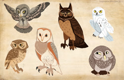 Size: 1000x647 | Tagged: safe, artist:ifus, barn owl, bird, bird of prey, great horned owl, owl, snowy owl, feral, 2013, ambiguous gender, ambiguous only, great gray owl, group