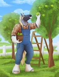 Size: 1280x1677 | Tagged: safe, artist:jenery, equine, horse, mammal, anthro, unguligrade anthro, 2022, 2d, apple, apple tree, basket, container, fence, food, fruit, hooves, ladder, male, solo, solo male, stallion, ungulate, unshorn fetlocks