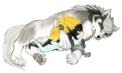 Size: 1000x600 | Tagged: safe, artist:karin kinako, link (wolf form), link (zelda), midna (zelda), canine, fictional species, mammal, twili, wolf, feral, humanoid, nintendo, the legend of zelda, the legend of zelda: twilight princess, 2016, 2d, duo, duo male and female, female, male, paw pads, paws, pixiv, simple background, sleeping, white background
