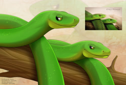 Size: 1280x868 | Tagged: safe, artist:jenery, reptile, snake, feral, 2d, ambiguous gender, ambiguous only, duo, duo ambiguous, looking at you, zoom layer