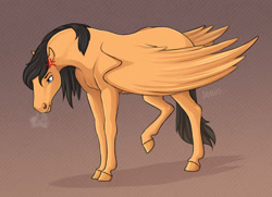 Size: 1280x925 | Tagged: safe, artist:jenery, equine, fictional species, mammal, pegasus, feral, 2d, cross-popping veins, female, grumpy, mare, snorting, solo, solo female, ungulate