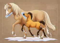 Size: 1280x924 | Tagged: safe, artist:jenery, esperanza (cimarron), spirit (cimarron), equine, horse, mammal, feral, dreamworks animation, spirit: stallion of the cimarron, 2d, colt, duo, female, foal, icicle, looking at each other, male, mare, mother, mother and child, mother and son, snow, son, young, younger