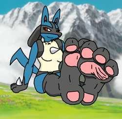 Size: 920x900 | Tagged: safe, artist:raidenthedeoxys, fictional species, lucario, mammal, nintendo, pokémon, 2016, fetish, foot fetish, foot focus, paw pads, paws, soles, toes