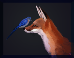 Size: 821x641 | Tagged: safe, artist:ghostlysilver, bird, canine, fox, mammal, feral, lifelike feral, 2013, blue feathers, duo, feathers, fur, gray background, lineless, looking at each other, non-sapient, orange body, orange fur, realistic, simple background, standing on someone