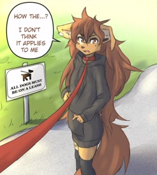 Size: 2890x3214 | Tagged: safe, artist:tinygaypirate, oc, oc:apogee (tinygaypirate), canine, dog, mammal, anthro, 2022, body markings, brown body, brown eyes, brown fur, brown hair, clothes, collar, ear piercing, female, fur, hair, hoodie, leash, legwear, multicolored fur, offscreen character, park, piercing, pov, sign, solo, solo female, speech bubble, text, thigh highs, topwear, two toned body, two toned fur