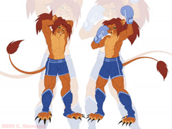 Size: 2000x1500 | Tagged: safe, artist:dawgweazle, oc, big cat, cat, feline, lion, mammal, anthro, 2022, abs, boxing gloves, boxing shorts, brown eyes, claws, clothes, feet, gloves, hair, male, mane, muscles, paws, ponytail, shin guards, solo, solo male, tail, trunks