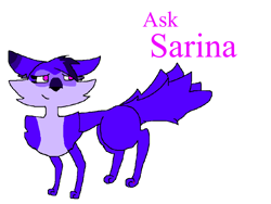 Size: 960x720 | Tagged: safe, artist:wonderwolf51, furbooru exclusive, oc, oc:sarina the wolf, canine, mammal, wolf, feral, series:ask sarina, 2022, female, solo, solo female
