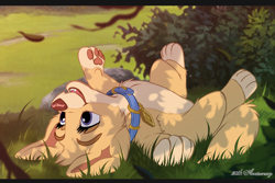 Size: 2400x1600 | Tagged: safe, artist:wugi, angel (lady and the tramp), canine, dog, mammal, mutt, feral, disney, lady and the tramp, 2021, 2d, black border, border, collar, cream body, cream fur, featured image, female, fur, letterboxing, lying down, on back, open mouth, paw pads, paws, puppy, purple eyes, smiling, solo, solo female, upside down, young