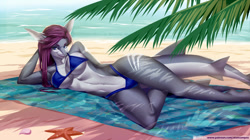 Size: 1100x618 | Tagged: safe, artist:alanscampos, oc, oc only, fish, shark, anthro, digitigrade anthro, 2016, beach, beach blanket, bedroom eyes, belly button, bikini, breasts, clothes, cloud, commission, detailed background, digital art, ears, eyelashes, female, fins, fish tail, hair, looking at you, lying on the ground, ocean, palm tree, plant, pose, scales, shark tail, sharp teeth, sky, smiling, smiling at you, solo, solo female, swimsuit, tail, teeth, thighs, tree, water, wide hips