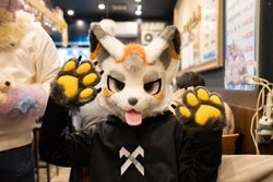 Size: 2048x1366 | Tagged: safe, 2022, cute, fursuit, irl, paw pads, paws, photo, tongue