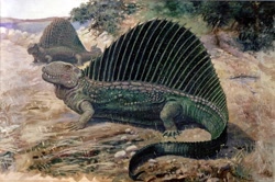 Size: 700x466 | Tagged: safe, artist:charles r. knight, dimetrodon, edaphosaurus, reptile, feral, lifelike feral, 1897, ambiguous gender, non-sapient, paleoart, prehistoric, public domain, realistic, sphenacodontid, traditional art