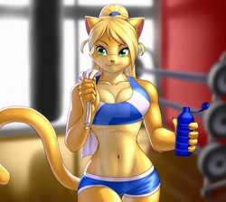 Size: 1024x918 | Tagged: safe, artist:pak009, oc, oc only, cat, feline, mammal, 2017, belly button, bottomwear, breasts, clothes, detailed background, deviantart watermark, digital art, ears, eyelashes, female, fur, gym, hair, pink nose, pose, shorts, solo, solo female, sports bra, sports shorts, tail, thighs, topwear, water bottle, watermark, wide hips