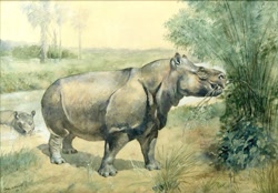 Size: 700x487 | Tagged: safe, artist:charles r. knight, mammal, feral, lifelike feral, 1896, ambiguous gender, ambiguous only, duo, duo ambiguous, metamynodon, non-sapient, paleoart, prehistoric, public domain, realistic, traditional art, ungulate