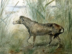 Size: 700x530 | Tagged: safe, artist:charles r. knight, equine, mammal, feral, lifelike feral, 1896, ambiguous gender, group, non-sapient, orohippus, paleoart, prehistoric, public domain, realistic, traditional art, ungulate