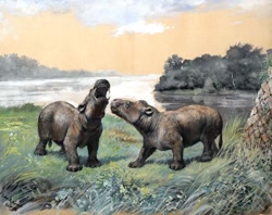 Size: 700x553 | Tagged: safe, artist:charles r. knight, mammal, feral, lifelike feral, 1898, ambiguous gender, ambiguous only, coryphodon, duo, duo ambiguous, non-sapient, paleoart, prehistoric, public domain, realistic, traditional art
