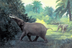 Size: 1189x792 | Tagged: safe, artist:charles r. knight, mammal, feral, lifelike feral, 1901, ambiguous gender, gomphotherium, group, non-sapient, paleoart, public domain, realistic, traditional art