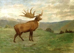 Size: 800x577 | Tagged: safe, artist:charles r. knight, cervid, deer, mammal, feral, lifelike feral, 1906, ambiguous gender, megaloceros, non-sapient, paleoart, prehistoric, public domain, realistic, solo, solo ambiguous, traditional art, ungulate