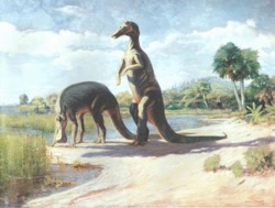 Size: 749x565 | Tagged: safe, artist:charles r. knight, dinosaur, duck-billed dinosaur, reptile, feral, lifelike feral, 1909, ambiguous gender, ambiguous only, duo, duo ambiguous, edmontosaurus, non-sapient, outdated paleoart, paleoart, prehistoric, public domain, realistic, traditional art