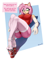 Size: 900x1200 | Tagged: suggestive, artist:tailsrulz, amy rose (sonic), hedgehog, mammal, anthro, plantigrade anthro, sega, sonic the hedgehog (series), clothes, female, high heels, legwear, panties, shoes, solo, solo female, stockings, underwear