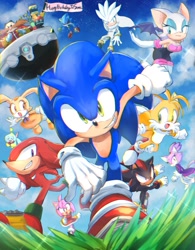 Size: 778x1000 | Tagged: safe, artist:狼, amy rose (sonic), blaze the cat (sonic), cheese (sonic), cream the rabbit (sonic), cubot (sonic), doctor eggman (sonic), knuckles the echidna (sonic), metal sonic (sonic), miles "tails" prower (sonic), orbot (sonic), rouge the bat (sonic), shadow the hedgehog (sonic), silver the hedgehog (sonic), sonic the hedgehog (sonic), badnik, bat, canine, cat, chao, echidna, feline, fictional species, fox, hedgehog, human, lagomorph, mammal, monotreme, rabbit, red fox, robot, anthro, sega, sonic the hedgehog (series), 2018, female, group, large group, male, pixiv