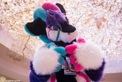 Size: 1280x853 | Tagged: safe, anthro, blue, cute, finger, fursuit, irl, light, photo, photography, pink, purple
