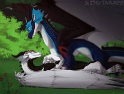 Size: 2500x1900 | Tagged: safe, artist:shido-tara, oc, dragon, fictional species, rainwing, reptile, feral, wings of fire (book series), commission, date, forest, lying down, on back, scar