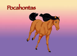 Size: 2873x2088 | Tagged: safe, artist:sapphiregamgee, pocahontas (disney character), equine, horse, mammal, feral, disney, pocahontas (disney), 2d, deviantart watermark, female, horsified, mare, solo, solo female, species swap, ungulate, watermark