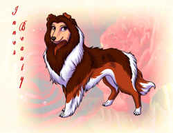 Size: 2786x2153 | Tagged: safe, artist:sapphiregamgee, belle (beauty and the beast), canine, collie, dog, mammal, rough collie, feral, beauty and the beast, disney, 2010, 2d, deviantart watermark, dogified, female, solo, solo female, species swap, watermark