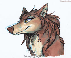Size: 600x493 | Tagged: safe, artist:stray-sketches, kate (alpha and omega), canine, mammal, wolf, feral, alpha and omega, 2021, 2d, bust, female, simple background, solo, solo female, white background
