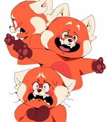 Size: 1840x2078 | Tagged: safe, artist:yen00280, mei lee (turning red), mammal, red panda, semi-anthro, disney, pixar, turning red, 2022, 2d, female, paw pads, paws, simple background, solo, solo female, white background