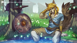 Size: 2000x1125 | Tagged: safe, artist:alanscampos, link (wolf form), link (zelda), amphibian, canine, frog, mammal, wolf, anthro, nintendo, the legend of zelda, the legend of zelda: breath of the wild, the legend of zelda: twilight princess, 16:9, 2019, ambient wildlife, bottomwear, clothes, detailed background, digital art, ears, eyelashes, fur, grass, hair, lake, looking at you, male, pants, plant, shield, shirt, sitting, solo, solo male, sword, tail, topwear, tree, wallpaper, water, weapon