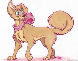 Size: 800x630 | Tagged: safe, artist:stray-sketches, angel (lady and the tramp), canine, dog, mammal, mutt, feral, disney, lady and the tramp, 2022, 2d, female, simple background, solo, solo female, traditional art, white background