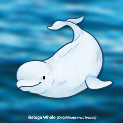 Size: 1000x1000 | Tagged: safe, artist:stinab, beluga whale, cetacean, mammal, feral, 2021, ambiguous gender, solo, solo ambiguous, ungulate